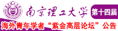 操逼电影大鸟视频南京理工大学第十四届海外青年学者紫金论坛诚邀海内外英才！